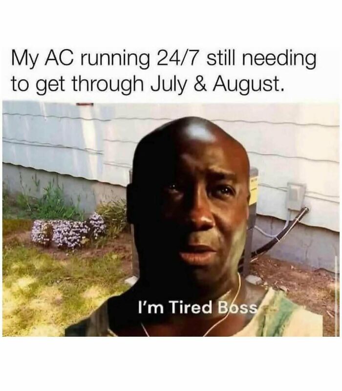 The Heatwave Meme Party You Didn't Know You Needed