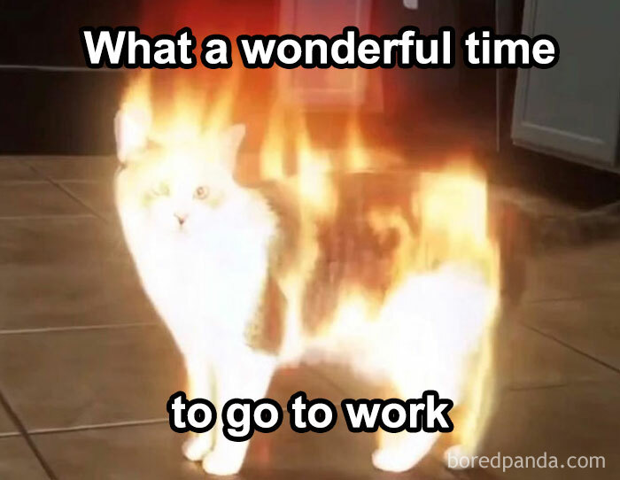 The Heatwave Meme Party You Didn't Know You Needed