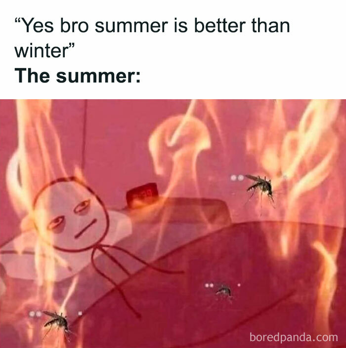 The Heatwave Meme Party You Didn't Know You Needed