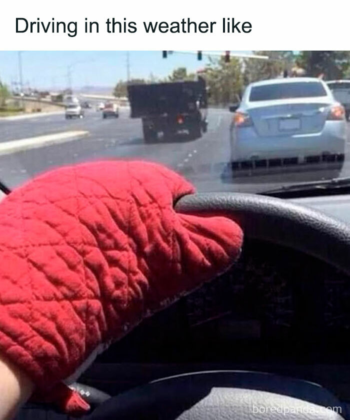 The Heatwave Meme Party You Didn't Know You Needed