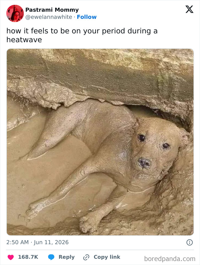 The Heatwave Meme Party You Didn't Know You Needed
