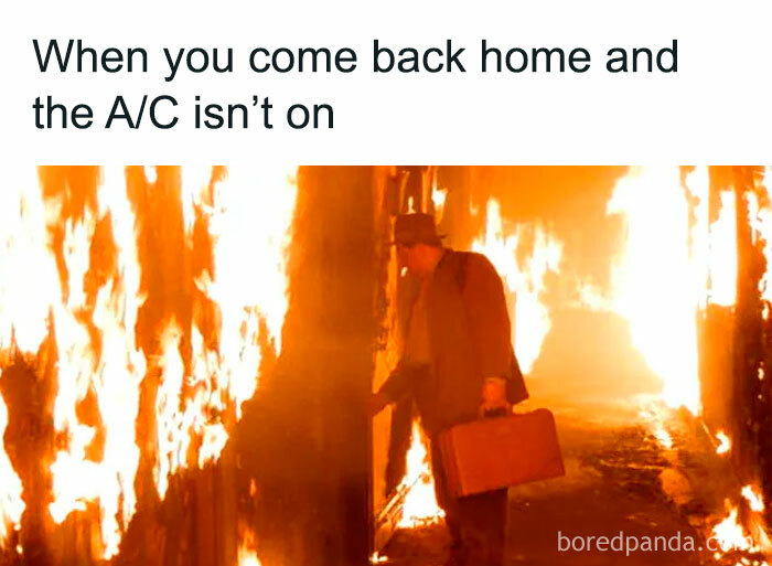 The Heatwave Meme Party You Didn't Know You Needed