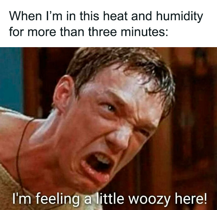 The Heatwave Meme Party You Didn't Know You Needed