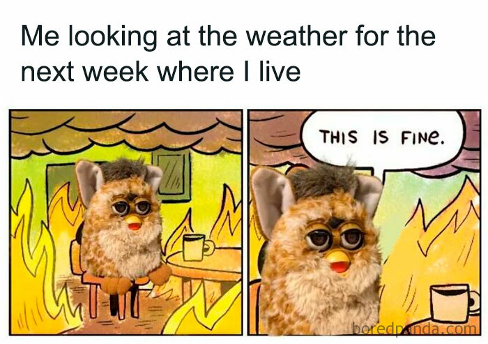 The Heatwave Meme Party You Didn't Know You Needed