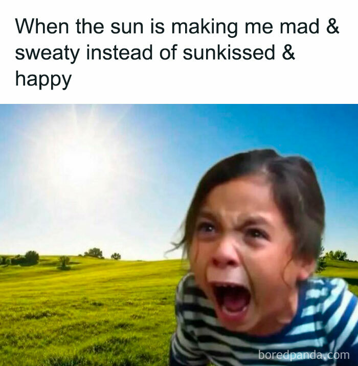 The Heatwave Meme Party You Didn't Know You Needed