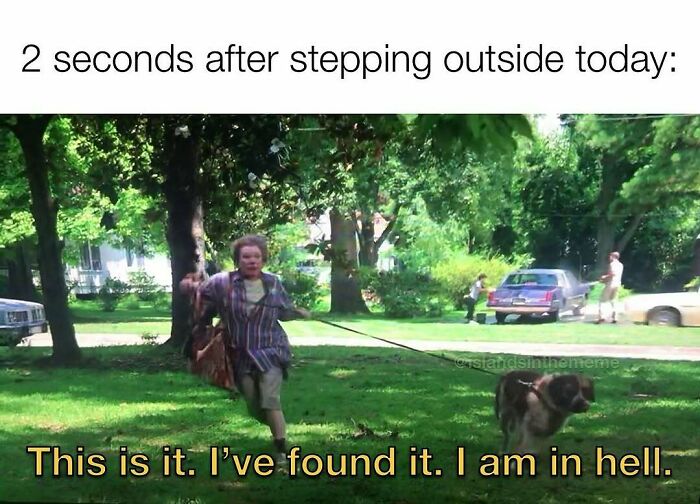 The Heatwave Meme Party You Didn't Know You Needed