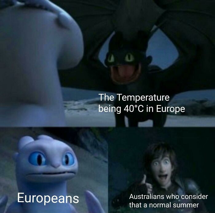 The Heatwave Meme Party You Didn't Know You Needed