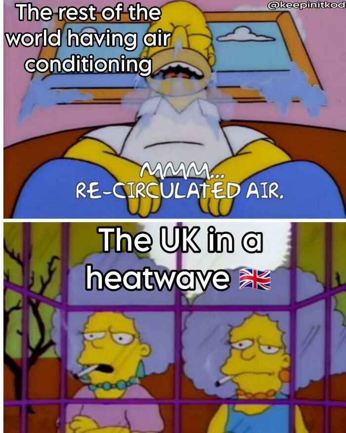 The Heatwave Meme Party You Didn't Know You Needed