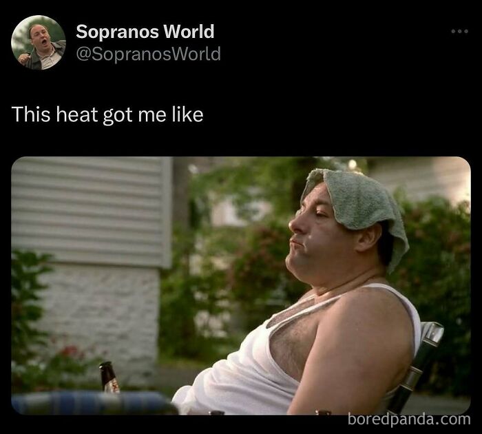 The Heatwave Meme Party You Didn't Know You Needed