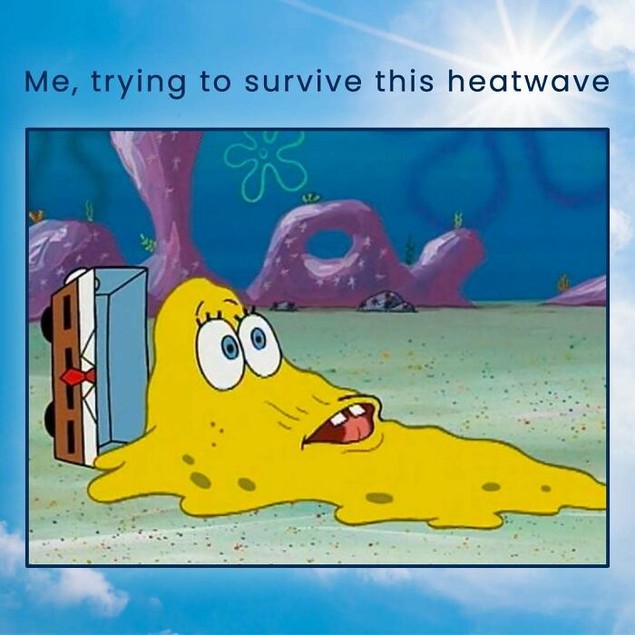 The Heatwave Meme Party You Didn't Know You Needed