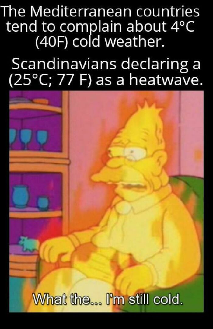 The Heatwave Meme Party You Didn't Know You Needed