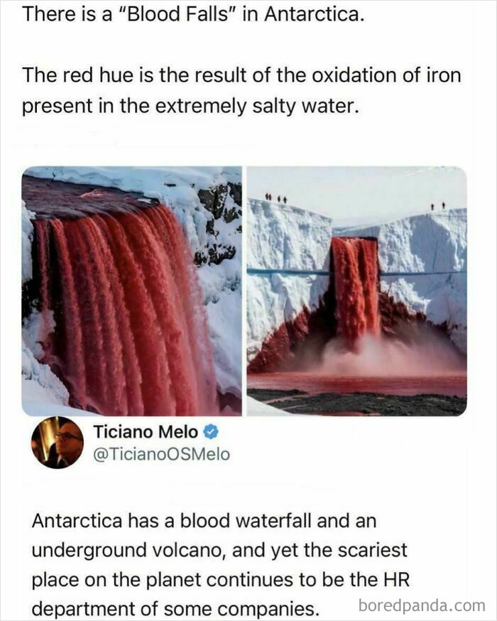 Wait, They Actually Said That?! Wild Sentences That Stopped Us Mid-Scroll
