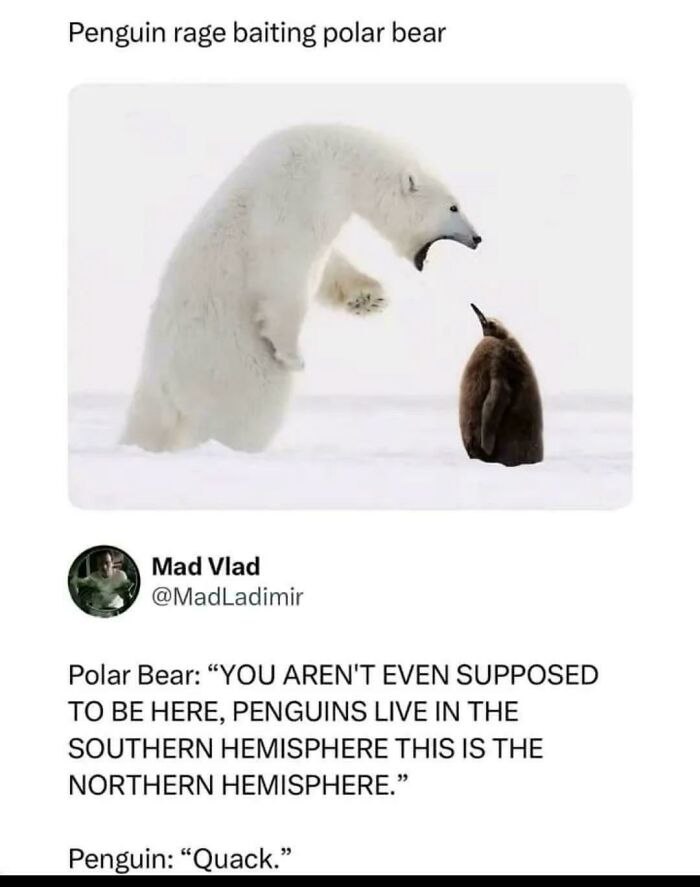 Wait, They Actually Said That?! Wild Sentences That Stopped Us Mid-Scroll