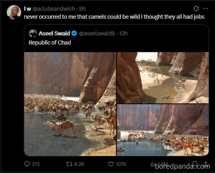 Wait, They Actually Said That?! Wild Sentences That Stopped Us Mid-Scroll