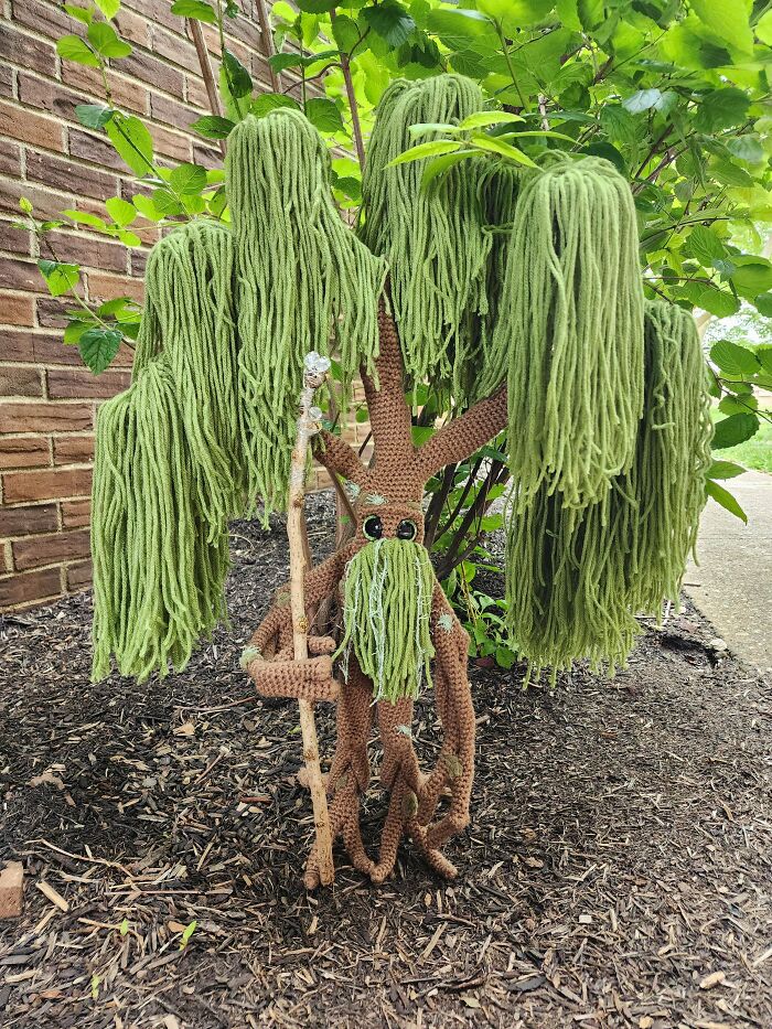 The Tree Wizard Is Here!