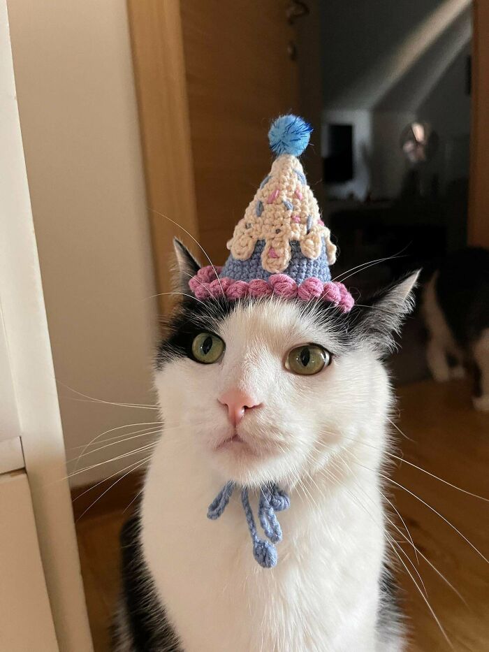 Birthday Boy In Crochet Style!