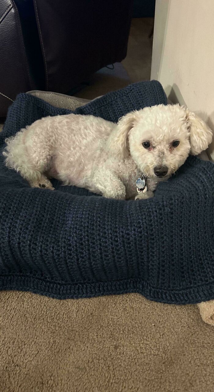 A Blanket For My Baby Who’s Staying With My Folks