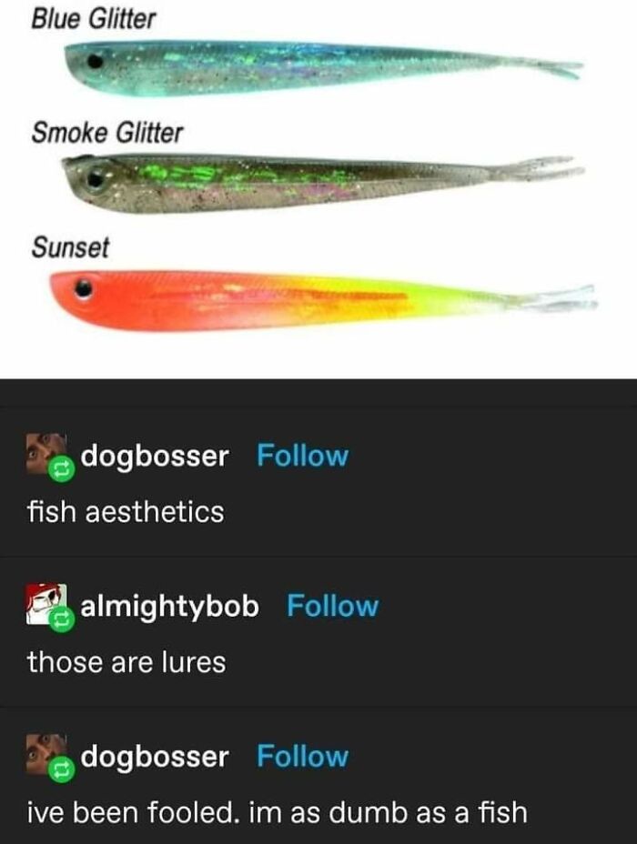 Let's Dive Into 87 Memes That'll Crack You Up Right Now