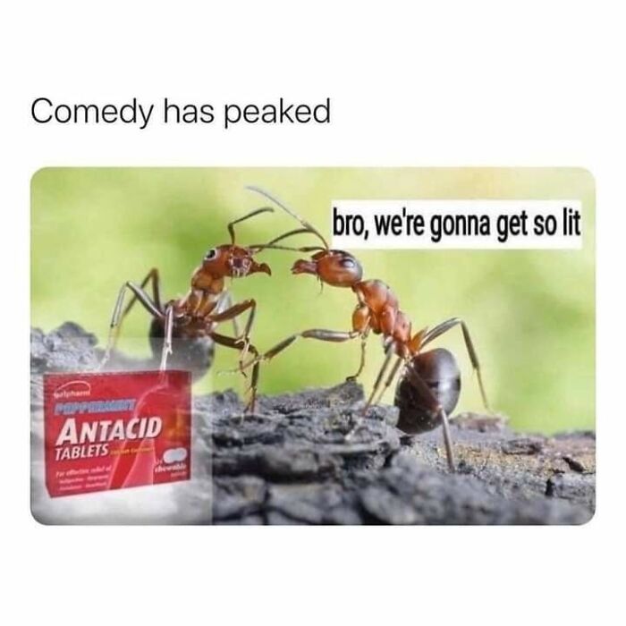 Let's Dive Into 87 Memes That'll Crack You Up Right Now