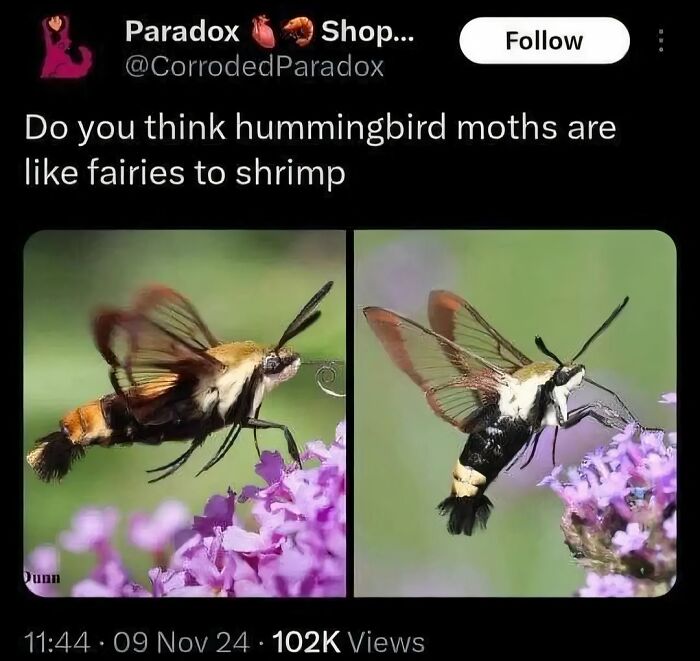 Let's Dive Into 87 Memes That'll Crack You Up Right Now