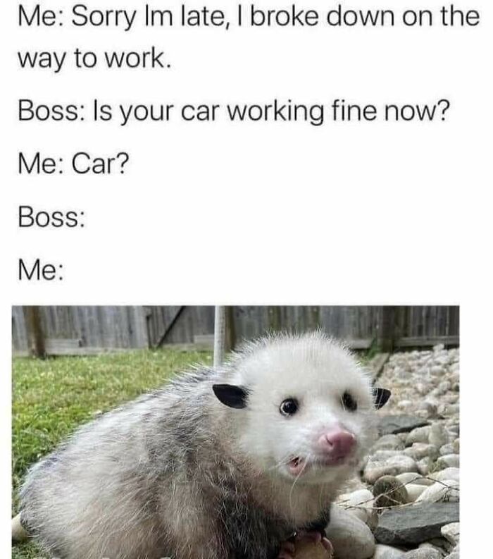 Let's Dive Into 87 Memes That'll Crack You Up Right Now