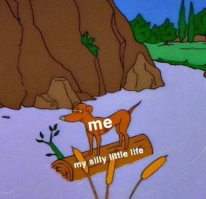 Let's Dive Into 87 Memes That'll Crack You Up Right Now