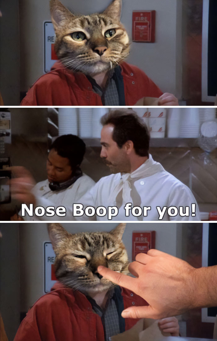 Let's Dive Into 87 Memes That'll Crack You Up Right Now