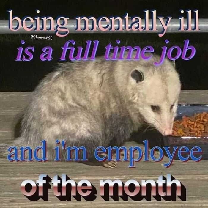 Let's Dive Into 87 Memes That'll Crack You Up Right Now