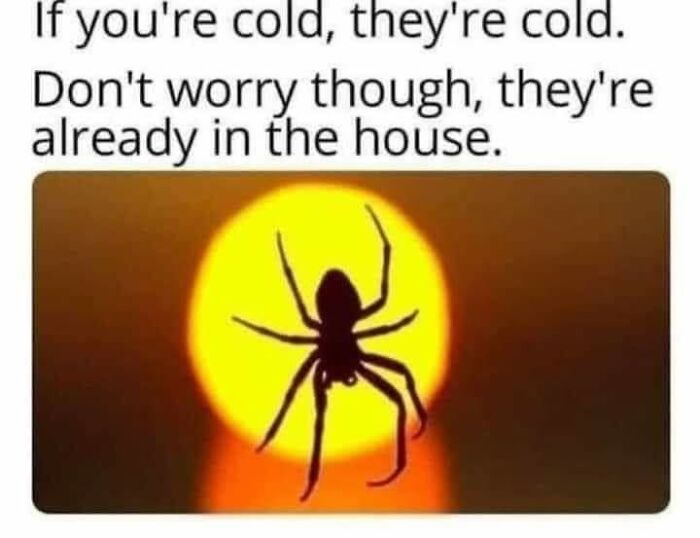 Let's Dive Into 87 Memes That'll Crack You Up Right Now