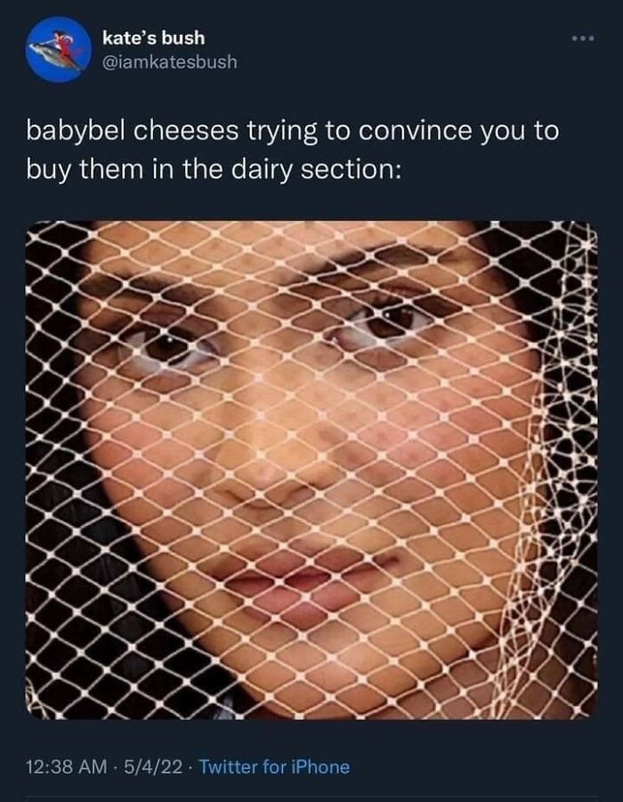 Let's Dive Into 87 Memes That'll Crack You Up Right Now