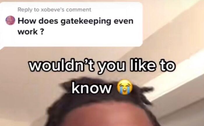 Let's Dive Into 87 Memes That'll Crack You Up Right Now