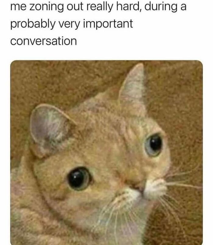 Let's Dive Into 87 Memes That'll Crack You Up Right Now
