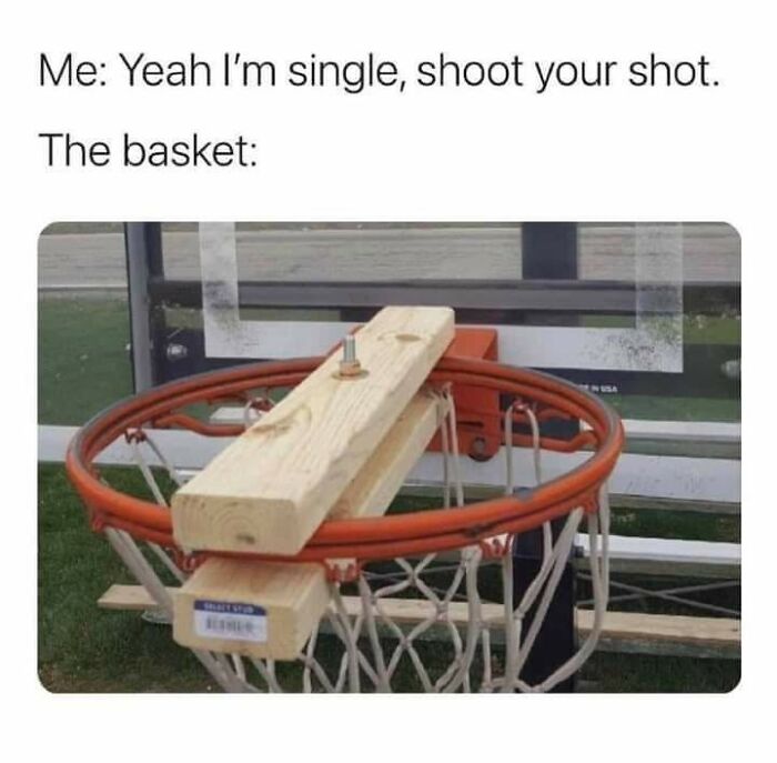 Let's Dive Into 87 Memes That'll Crack You Up Right Now