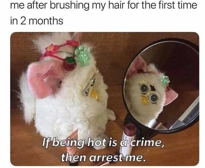 Let's Dive Into 87 Memes That'll Crack You Up Right Now