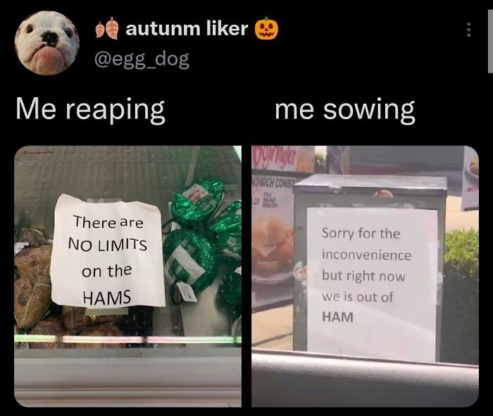 Let's Dive Into 87 Memes That'll Crack You Up Right Now