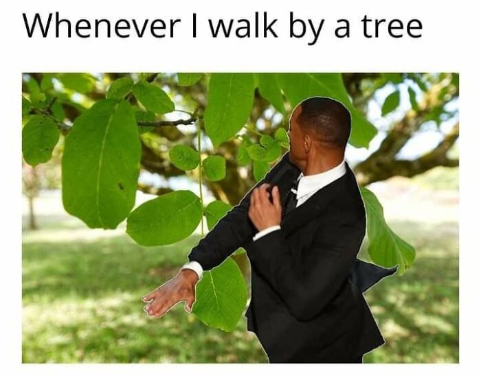 Let's Dive Into 87 Memes That'll Crack You Up Right Now