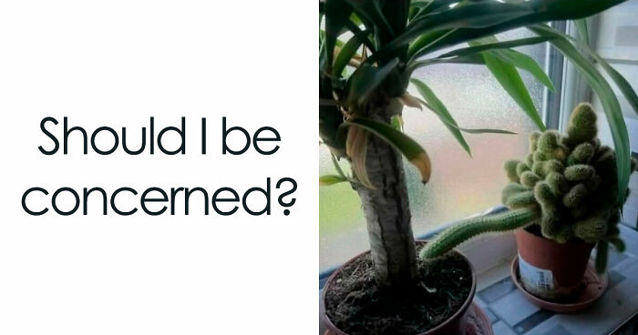 Wait, They Actually Ranked That?! The Funniest Internet Posts You Have to See