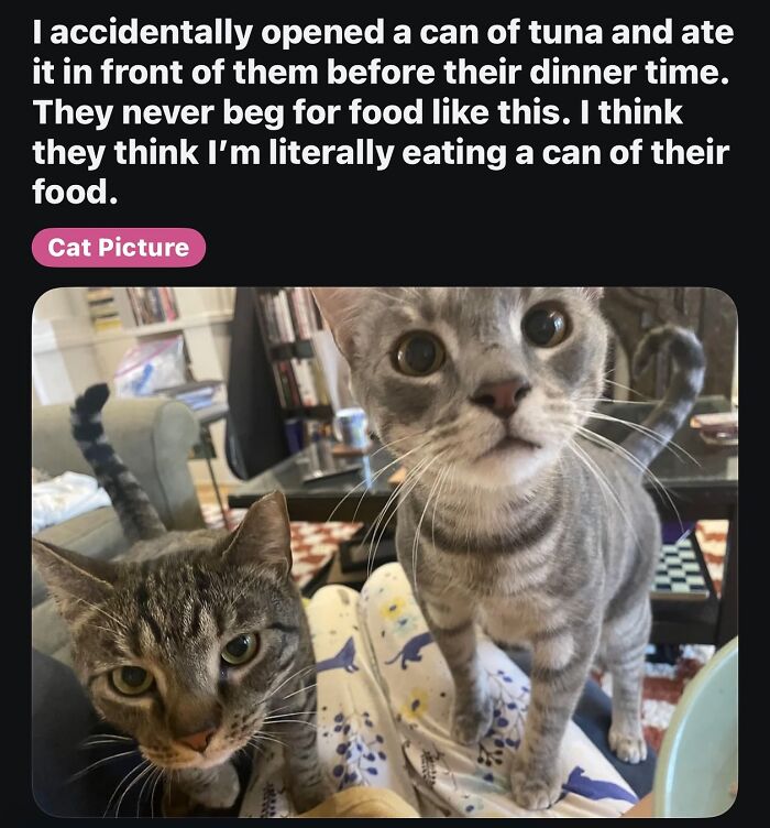 Wait, They Actually Ranked That?! The Funniest Internet Posts You Have to See
