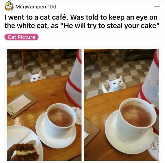 Wait, They Actually Ranked That?! The Funniest Internet Posts You Have to See