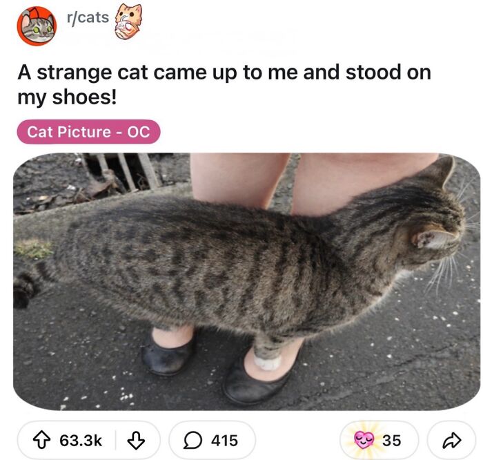 Wait, They Actually Ranked That?! The Funniest Internet Posts You Have to See