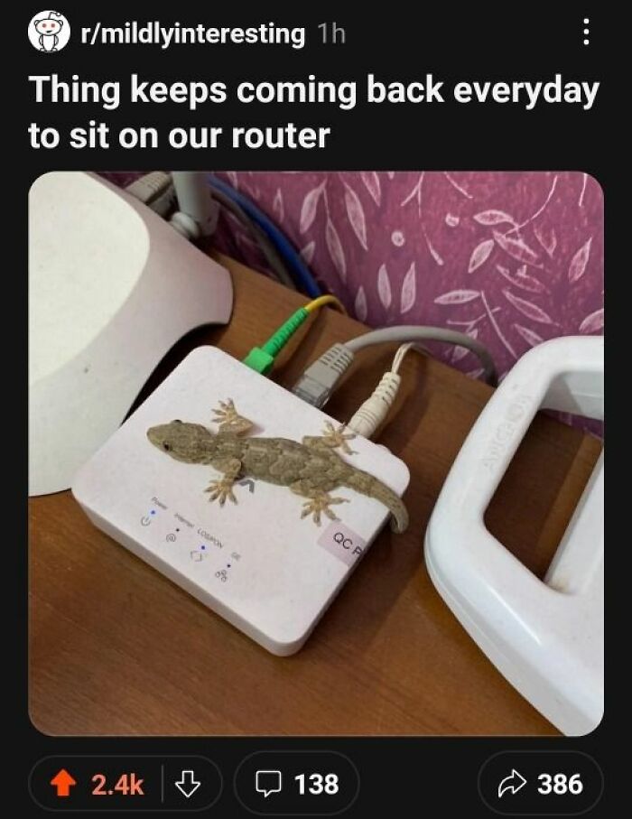 Wait, They Actually Ranked That?! The Funniest Internet Posts You Have to See