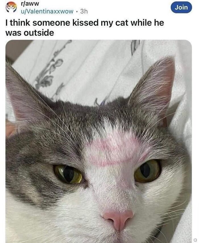 Wait, They Actually Ranked That?! The Funniest Internet Posts You Have to See