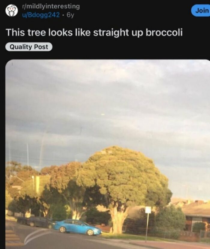 Wait, They Actually Ranked That?! The Funniest Internet Posts You Have to See