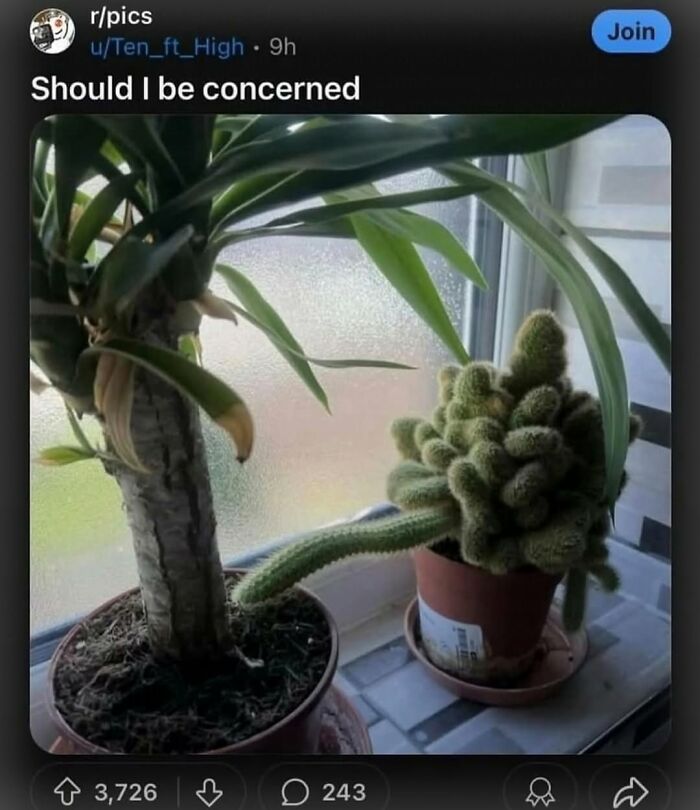 Wait, They Actually Ranked That?! The Funniest Internet Posts You Have to See