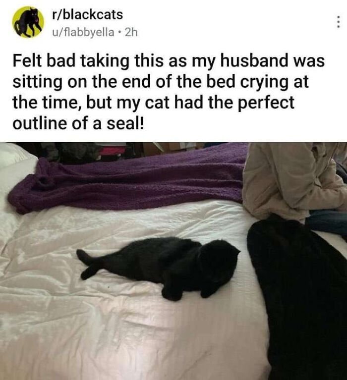 Wait, They Actually Ranked That?! The Funniest Internet Posts You Have to See