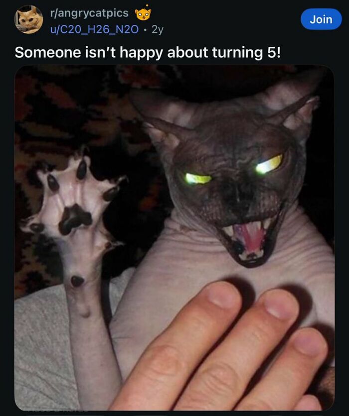 Wait, They Actually Ranked That?! The Funniest Internet Posts You Have to See