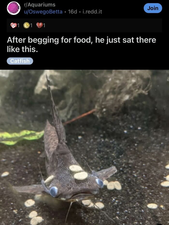 Wait, They Actually Ranked That?! The Funniest Internet Posts You Have to See
