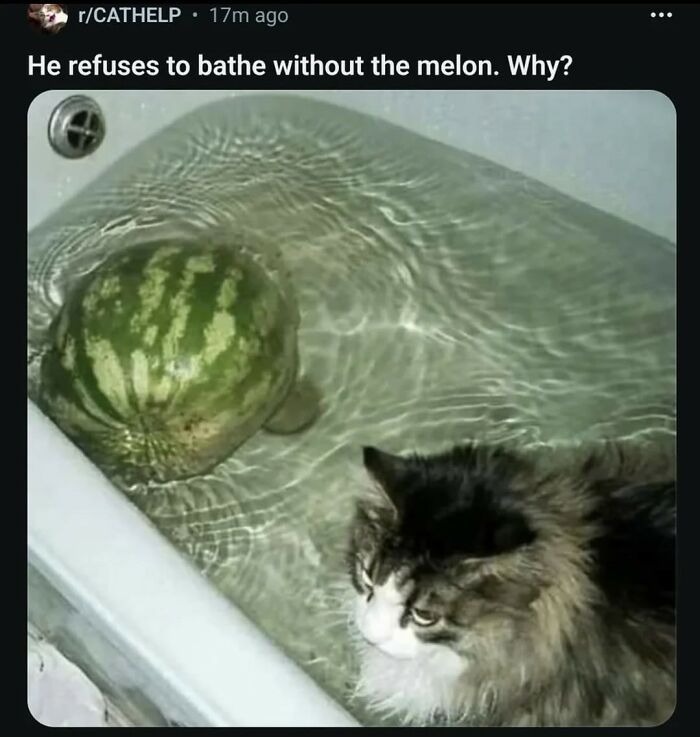 Wait, They Actually Ranked That?! The Funniest Internet Posts You Have to See