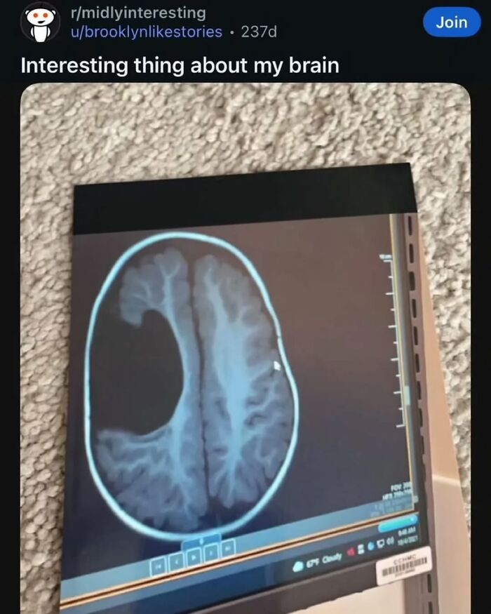 Wait, They Actually Ranked That?! The Funniest Internet Posts You Have to See