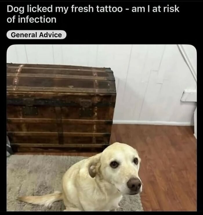 Wait, They Actually Ranked That?! The Funniest Internet Posts You Have to See